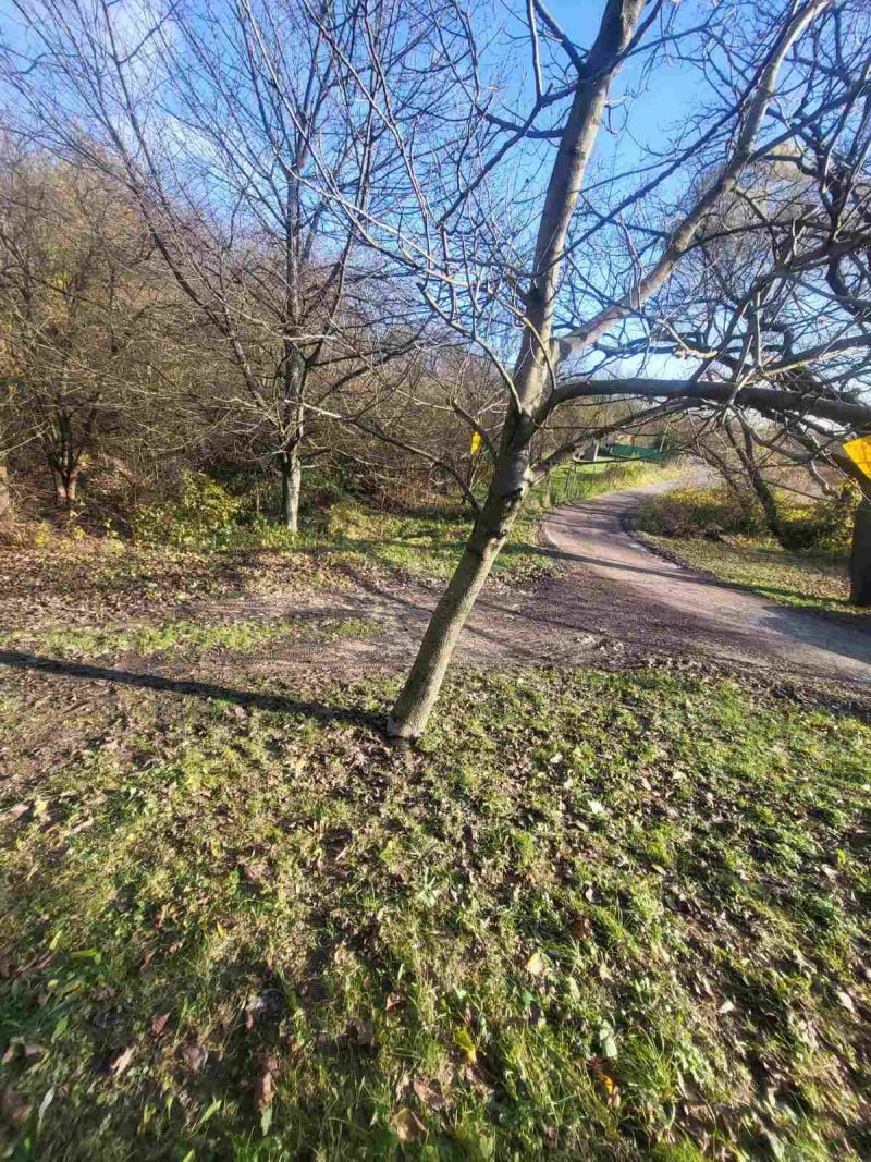 Košická Nová Ves pozemok - 20